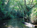canoe-kayak-castets-DL14