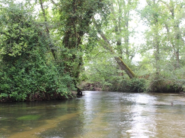 canoe kayak la palue landes descente loisir 7