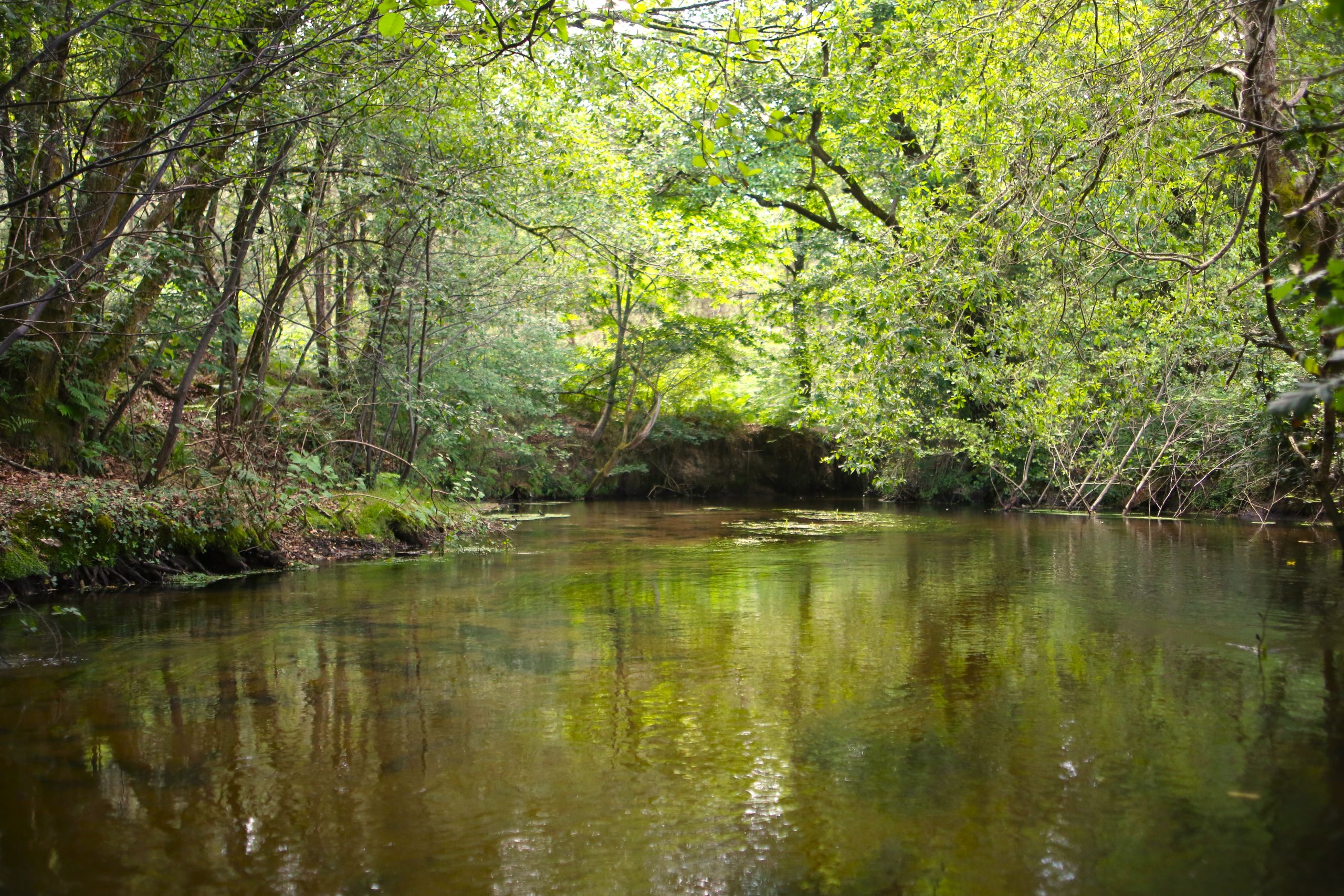canoe kayak landes 15