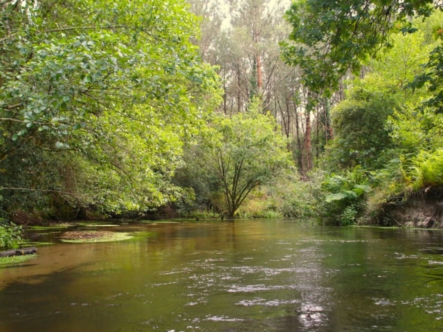 canoe kayak landes 41
